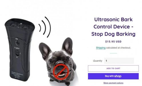 barkbox.JPG