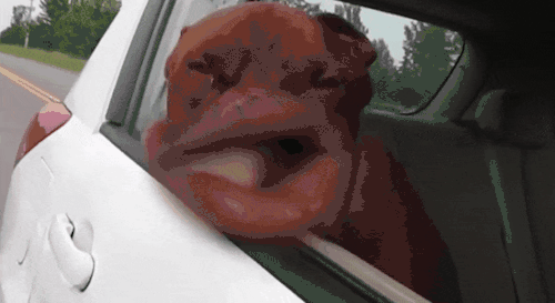 tumblr_a826839a039ad1ce26c7b76aed062859_e6e7a3b2_500.gif.gif