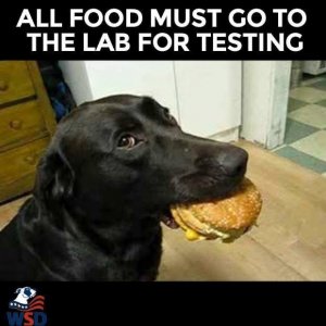 IMG_2887.jpeg