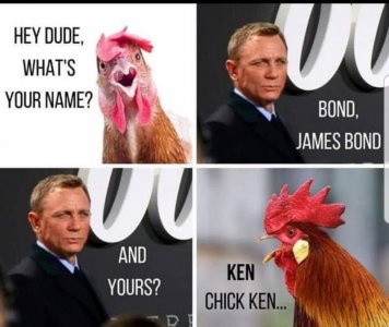 1758940624097.jpeg