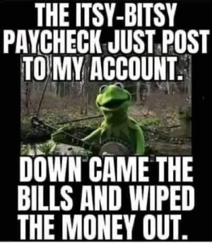 IMG_2904.jpeg