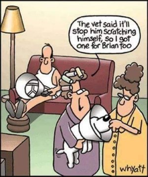 a funny cartoon.jpg