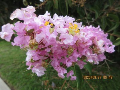 IMG_1878.JPG