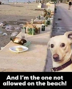 IMG_2902.jpeg