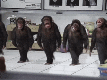 4cdt.gif