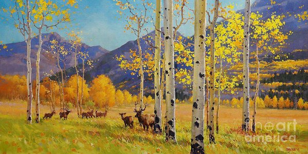 elk-herd-in-aspen-grove-gary-kim.jpg