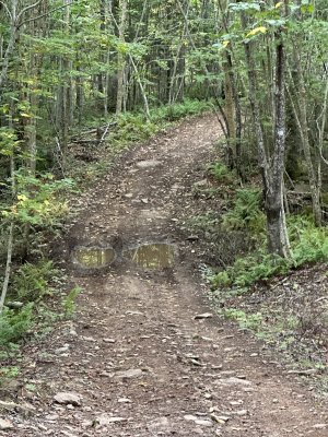 IMG_0680.jpeg