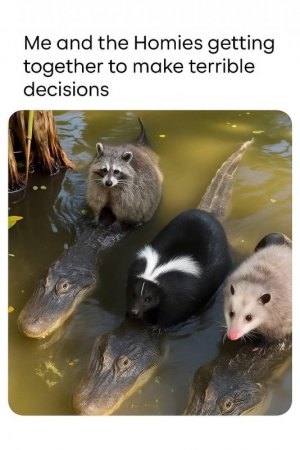 1000013777.jpg
