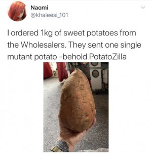 NOAtJTt.jpeg