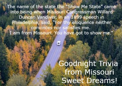 ShowME-night.jpg