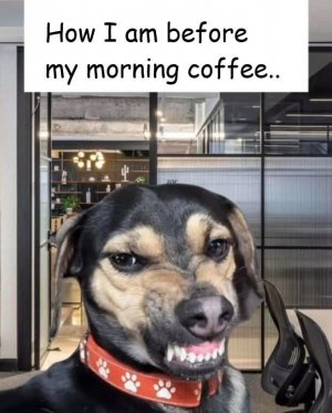FB_IMG_1759083876626.jpg