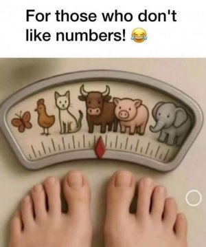 1000013819.jpg