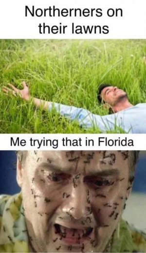 1000013810.jpg