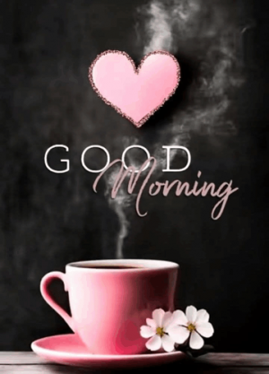 good-morning-morning.png