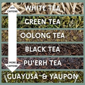 Types-of-Tea-By-Caffeine-Level-1024x1024-3500388790.jpg