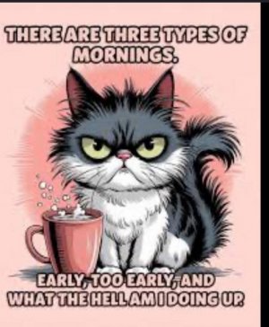 FB_IMG_1758384301624.jpg