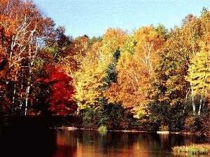 autumn5.jpg