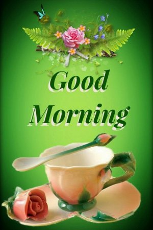 369168-Rose-Bud-Tea-Good-Morning~2.jpg