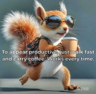 coffee fast.jpg