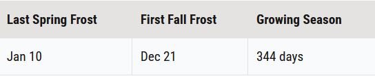 frost.JPG