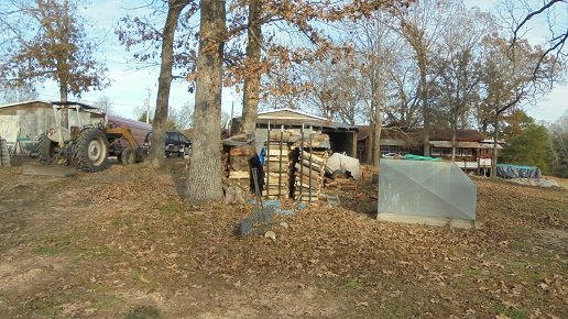 firewood.JPG