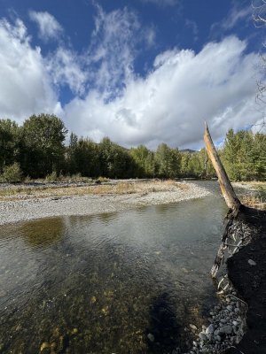 upriver.jpg