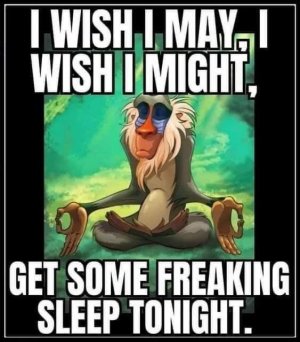 IMG_2903.jpeg