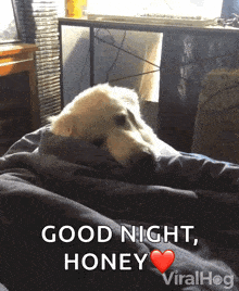 hidingundercovers-tired.gif