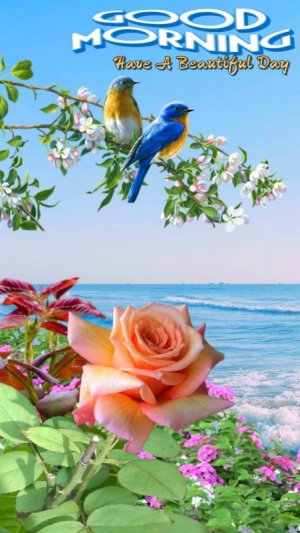 gm beautday.jpg