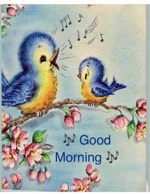 Good Morning birds 2.jpeg