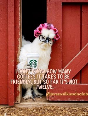 coffee.jpg