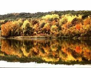 autumn1.jpg