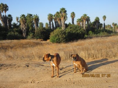 IMG_1967.JPG