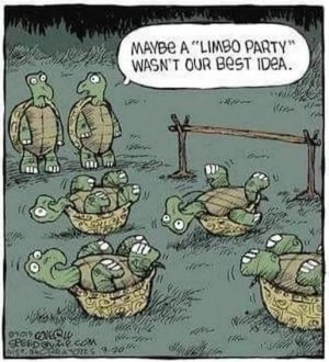 a turtle joke1.jpg