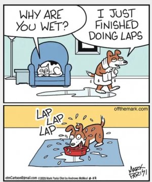 a wet dog joke.jpg