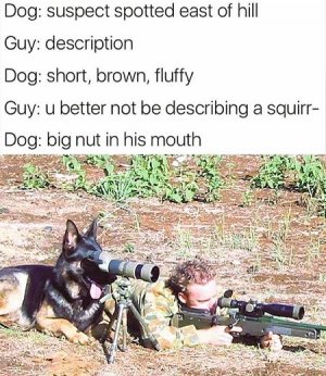 spotter.jpg