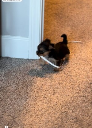 IMG_5573.jpeg