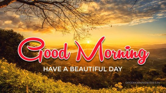 Beautiful-Morning-Photo-scaled-46407909.jpg