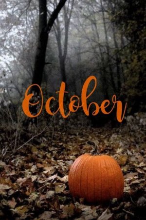 oct.jpg