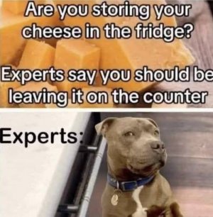 556144242_10233615325143589_5553204592965891165_n~2.jpg