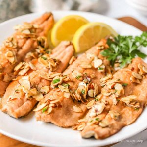 Trout-Almondine.jpg