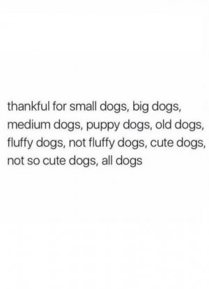 557284385_858661360023077_1519415873589638668_n.jpg