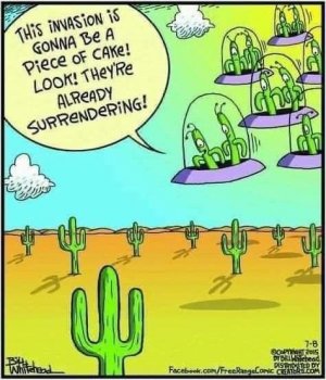 a funny cactus joke.jpg
