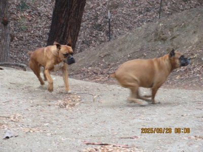 IMG_1951.JPG