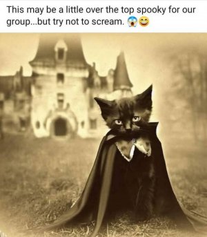 FB_IMG_1759511777745.jpg