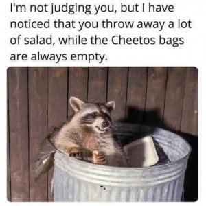 FB_IMG_1759462587084.jpg