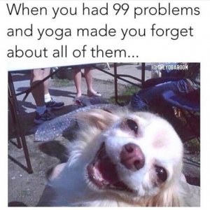 FB_IMG_1759460633534.jpg