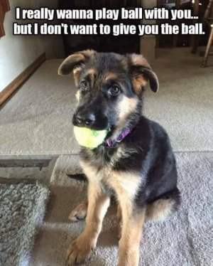 FB_IMG_1759458660058.jpg