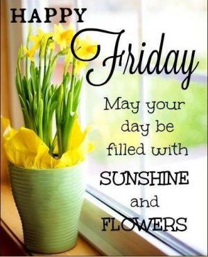 Friday Happiness.jpg