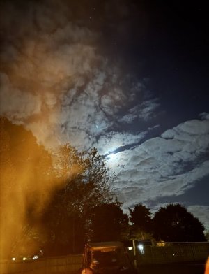 IMG_5559.jpeg